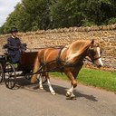 Mandy Lawson - @mandylawson30 - Twitter