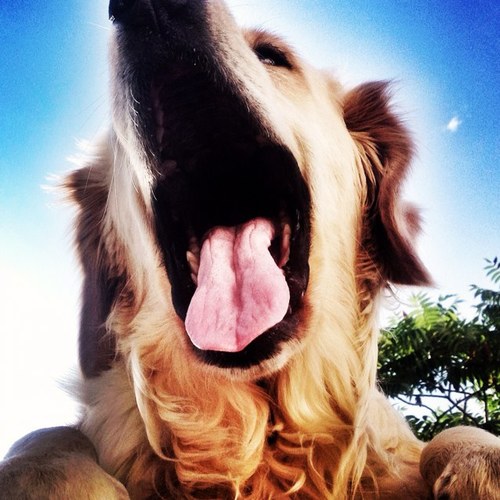 smilzao's profile picture. 