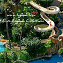 Nashen - @gene_nash - Twitter