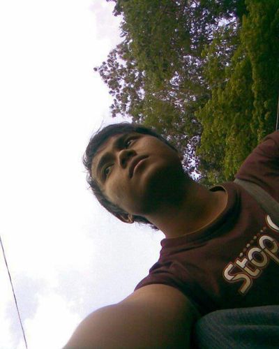 decomafia's profile picture. 