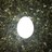MarkR_05's profile image