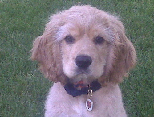 kas6945's profile picture. 