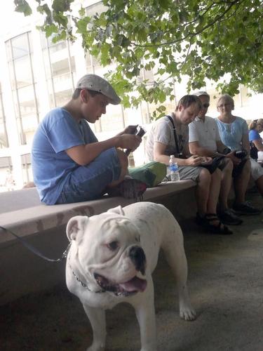 fragilexipad's profile picture. a dream project about getting iPads to Fragile X patients