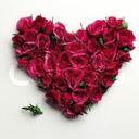 andro..emad (@22_andro) Twitter