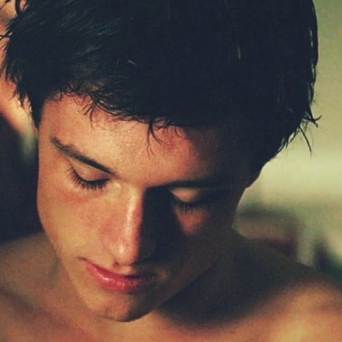 TenuousVictor's profile picture. When the world came crashing down, a flame was sparked. A radiant flame that brought what we feared to ash. A flame that now burns for me. Katniss.
[MRP]