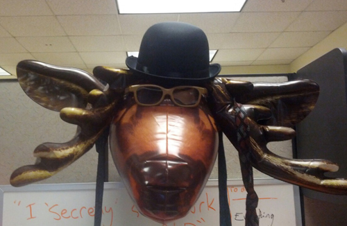 I'm the office moose. Tweeting what I see and my various moose thoughts.