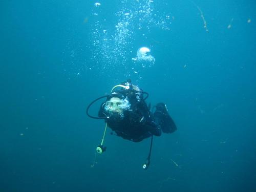 Biologist - Sp. Marine Biologist, in love with photography. Advanced Open Water Diver. Digital Underwater Photographer (level 2 PADI).
