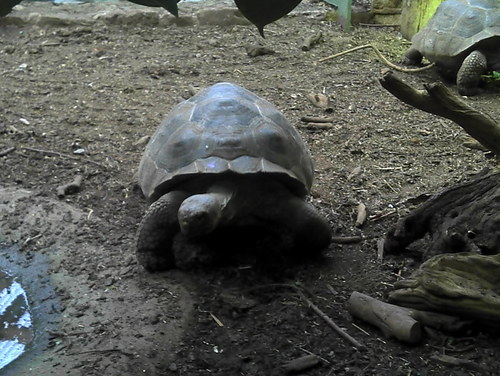 Markboden999's profile picture. 