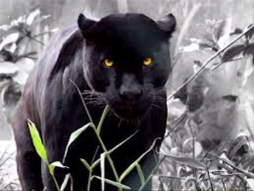 javsmartn9's profile picture. 