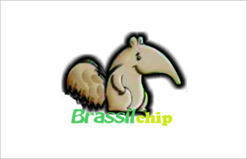 A Brassilchip é uma empresa especializada em Joysticks para Simuladores de Voo, 
Programas e Acessórios, montando computadores especiais para os Simuladores.