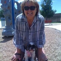 Linda Hoyt - @lindahoyt Twitter Profile Photo