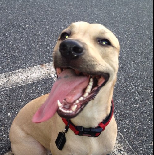 Mantooth1199's profile picture. 