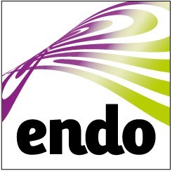 Programa para administrar los riesgos psicosociales basado en enfoque endoprevención.