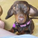 Cindy Dickerson - @CindyLou102 - Twitter