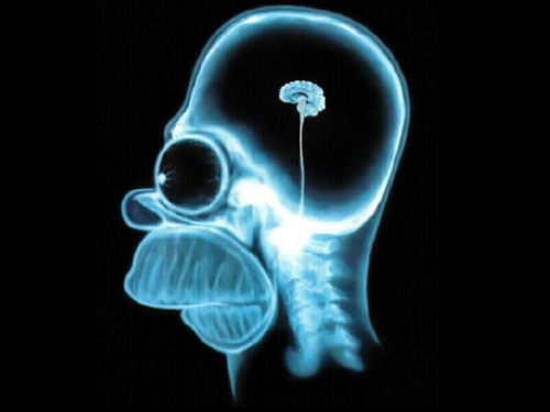 IntelligentTwts's profile picture. Retweeting only the most intelligent and sane tweets on Twitter! #Sarcasm #ThesePeopleAreIdiots