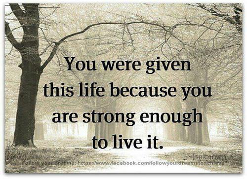 MissMrs_Me's profile picture. Finding my independence and building my self a steam one day at a time.