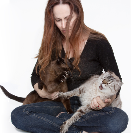 PSYCHO KITTIES chronicles documentary filmmaker Colleen Stratton’s ten-year struggle to resolve the behavioral issues between her two warring cats.