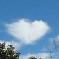 Kimberly Nish (@wildgirlyonder) 's Twitter Profile