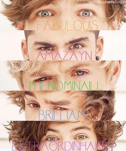 Zayn ainda está se olhando no espelho,Niall comendo batatas,Liam está com 2 rins,Harry solteiro, Louis ainda é boo bear e eu ainda estou com inveja da BabyLux
