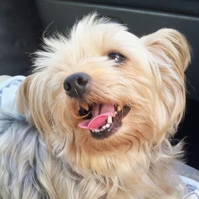 Rachel1Hung's profile picture. Jesus Christ is my Lord