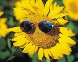 Moringa2's profile picture. Gosto de sinceridade, do  mistico da fantasia, oculto..da natureza e adoro animais,mas amo animais!!