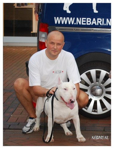 Vader van een hele mooie dochter en samenwonend met de liefste schat van de wereld , en als hobby hardlopen en onze Bull terriers