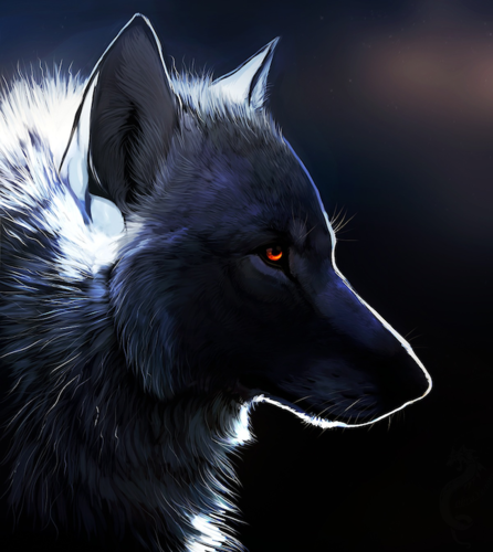 iv_hristov's profile picture. CTO, Software Architect