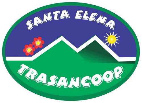 Una Cooperativa que satisface las necesidades de transporte de los usuarios y empresas en la modalidad de servicio público, colectivo y especial.