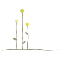 Specializing in preconception, pregnancy, breastfeeding and child nutrition, with a focus on eating sustainably where possible.  Eat Right For Your Family.