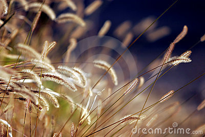 Daily Healthy Info http://t.co/nDseQIExIQ
