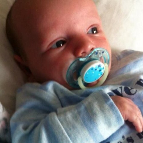 beanson1's profile picture. 