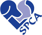 The SPCA Serving Erie County, an incredible animal welfare agency!