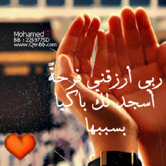 OddCc's profile picture. السعودية