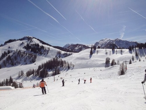 NMoggan's profile picture. 