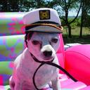 Max Swartz - @maxthechichi - Twitter