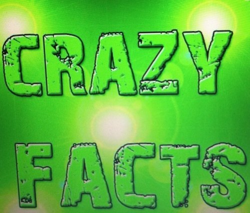 Tweetin facts, 140 characters at a time. I follow back!