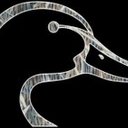 Talon Brown - @Brown68T - Twitter