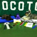 Kaye Kirk - @ostategop - Twitter