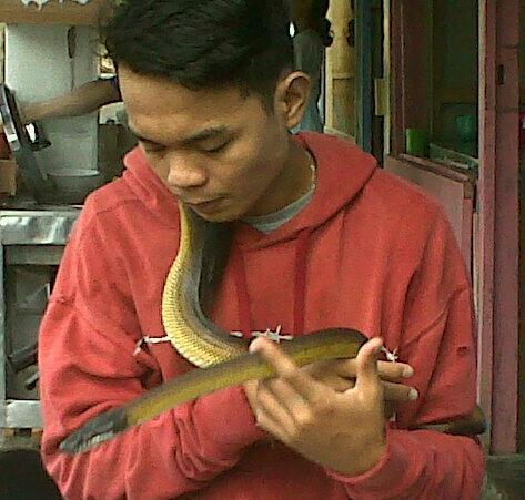 «keep spirit & smile everydays»