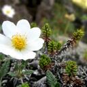 isha kanu - @ishakakanu - Twitter