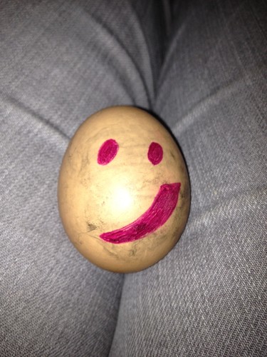 PeggasusTheEgg's profile picture. Peggasus. All round good Egg.. Now dead.
Star of #24HourFringeAdventure