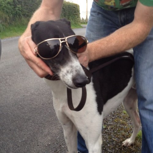 QuinnNoel's profile picture. 