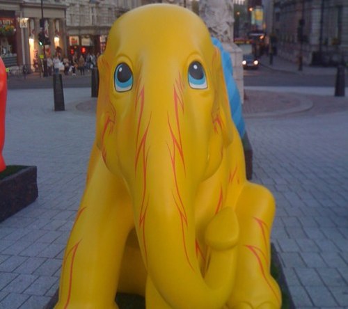 Lyndon300's profile picture. 