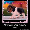 Sandra Bickford - @sandi03 - Twitter