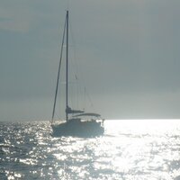 Giulia Mezzetti (@giuliamezzetti) 's Twitter Profile