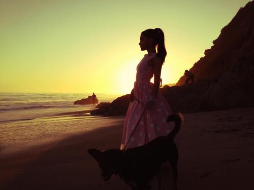 ♔ #arianator #followback