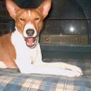 Dilys Blair-Bain - @dilysbb - Twitter