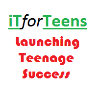 Non-Profit Organization: Imparting information technology education to underprivileged and underrepresented teenagers.