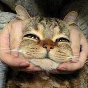 Fcfd198256's profile picture. 