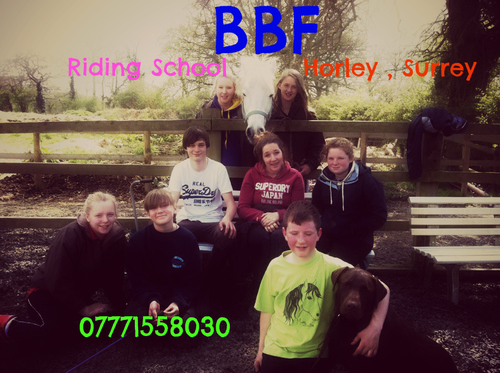 Broadbridge Farm Riding School offers Horse riding lessons for all abilities. We are based in Smallfield just outside Horley, Surrey.